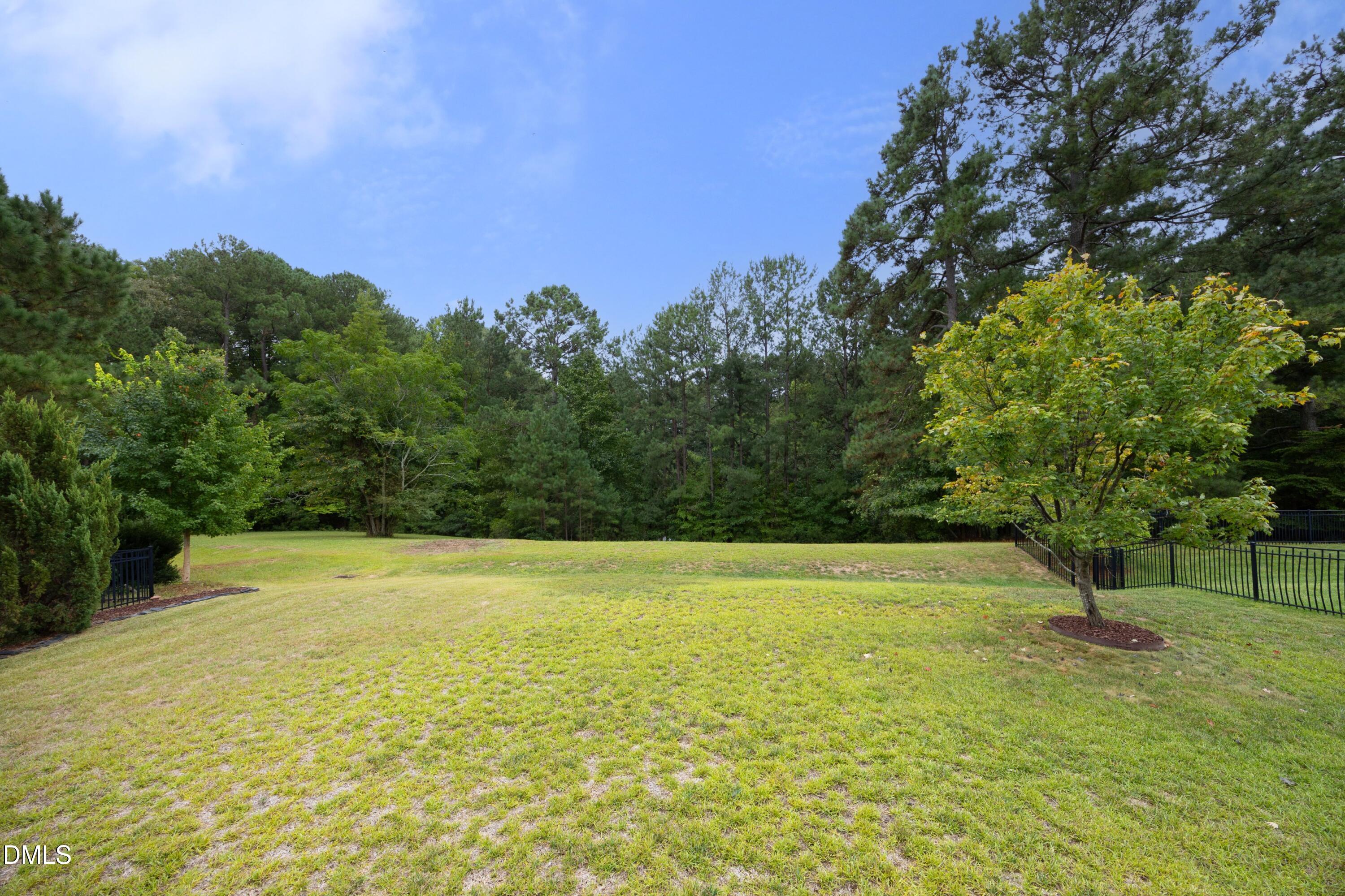 417 Field Glow Lane Property Photo 38