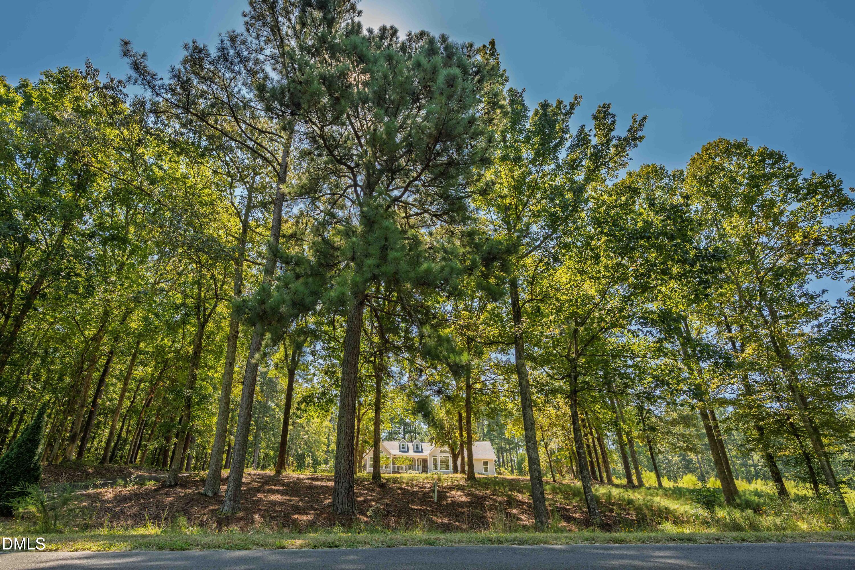 4508 Rogers Road Property Photo 64