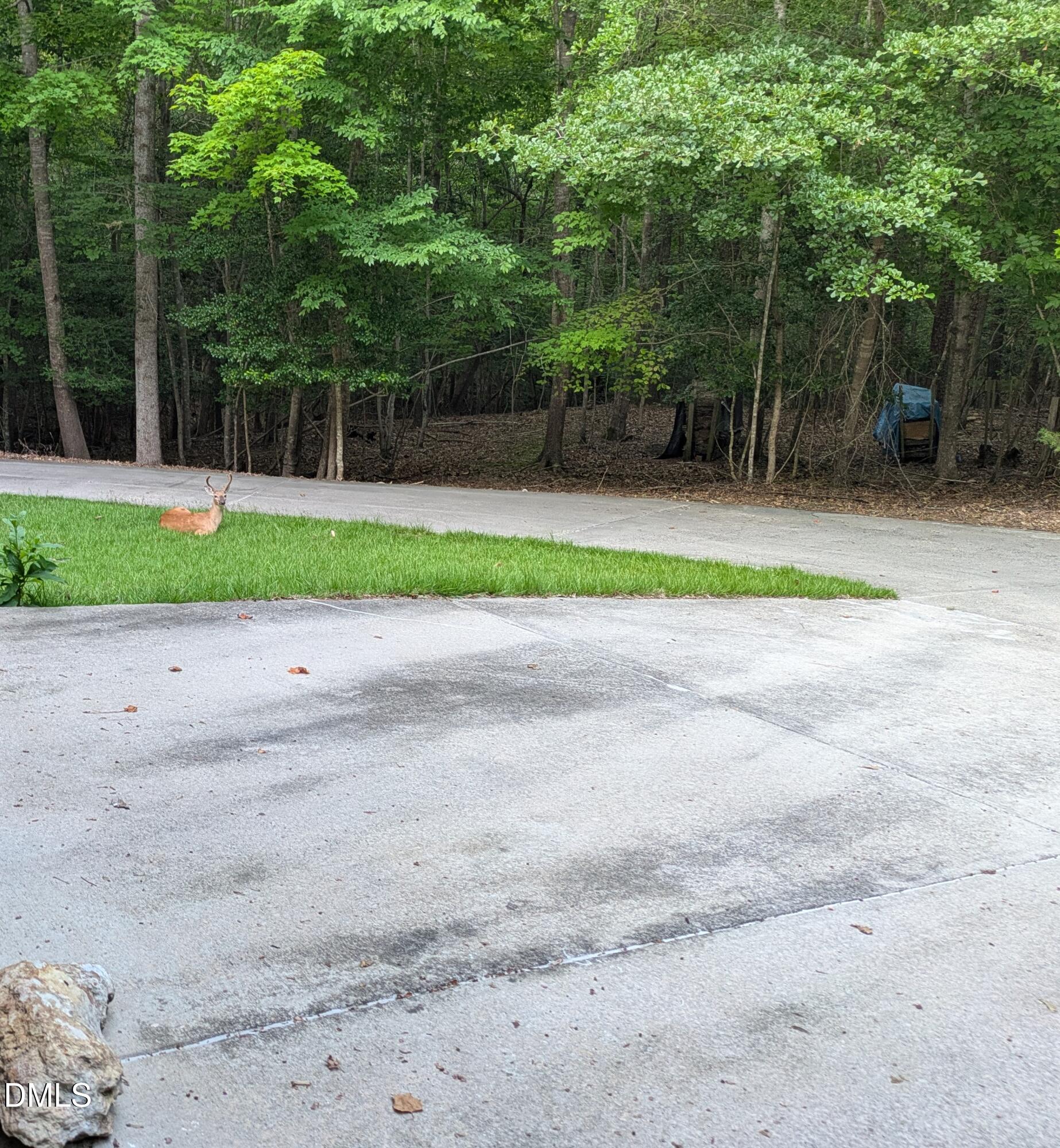 1105 Erins Way Lane Property Photo 77