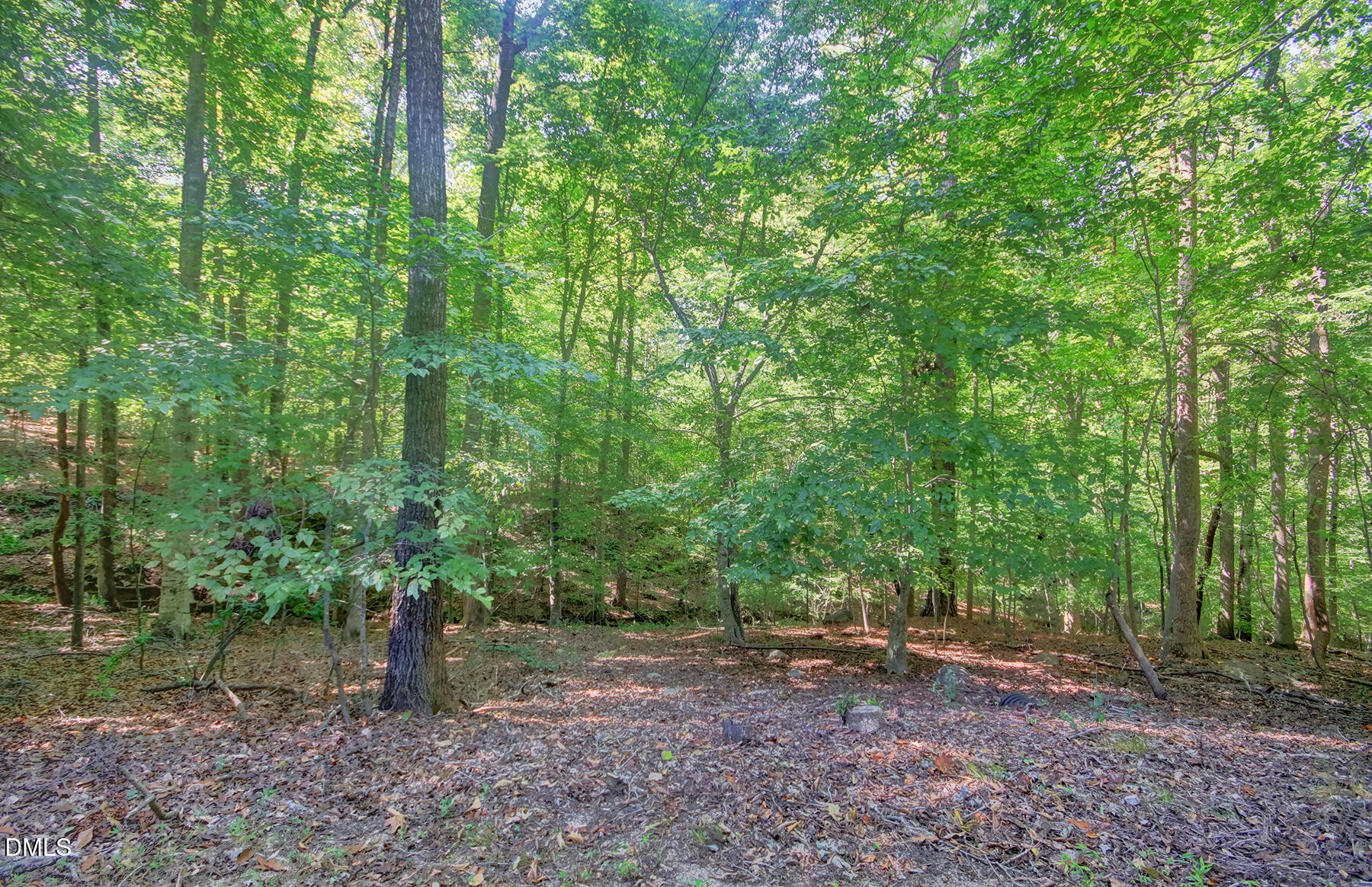 464 Beechmast Property Photo 32