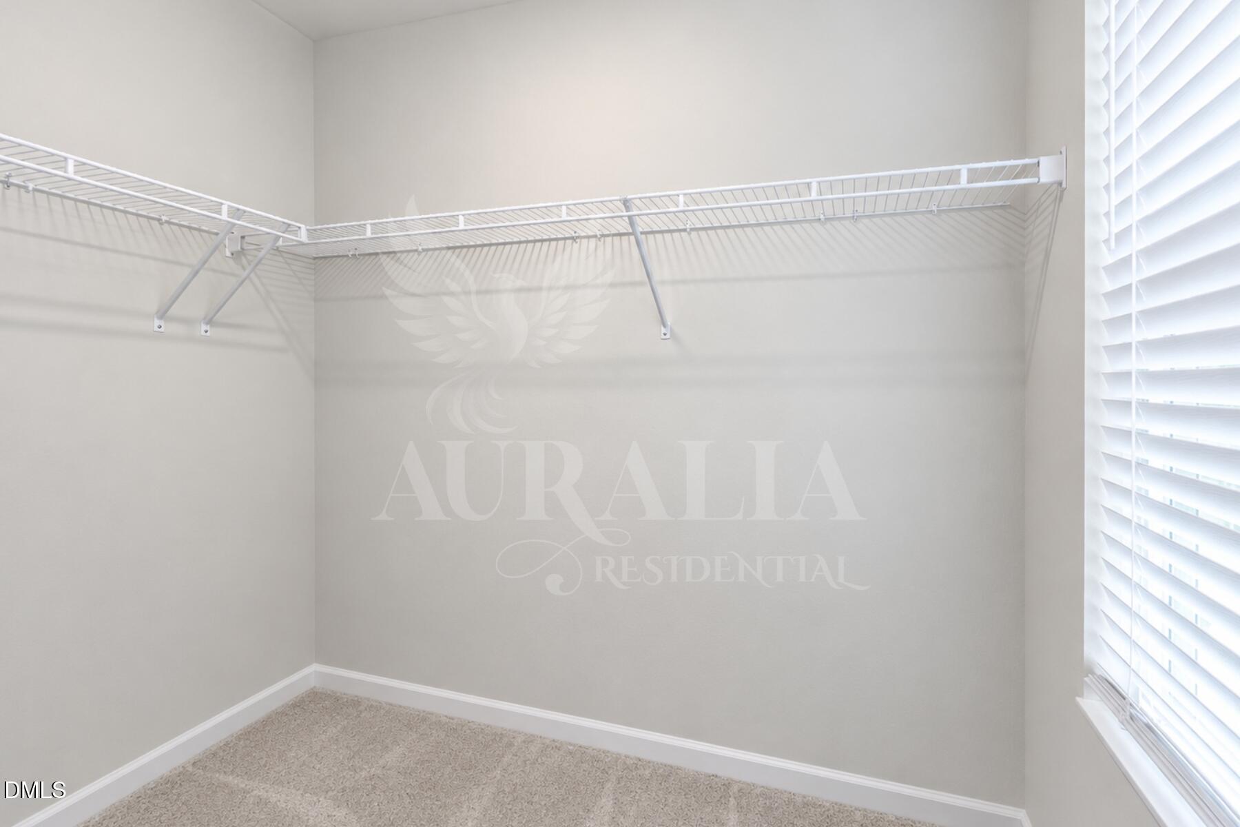 2721 Chert Lane Property Photo 25