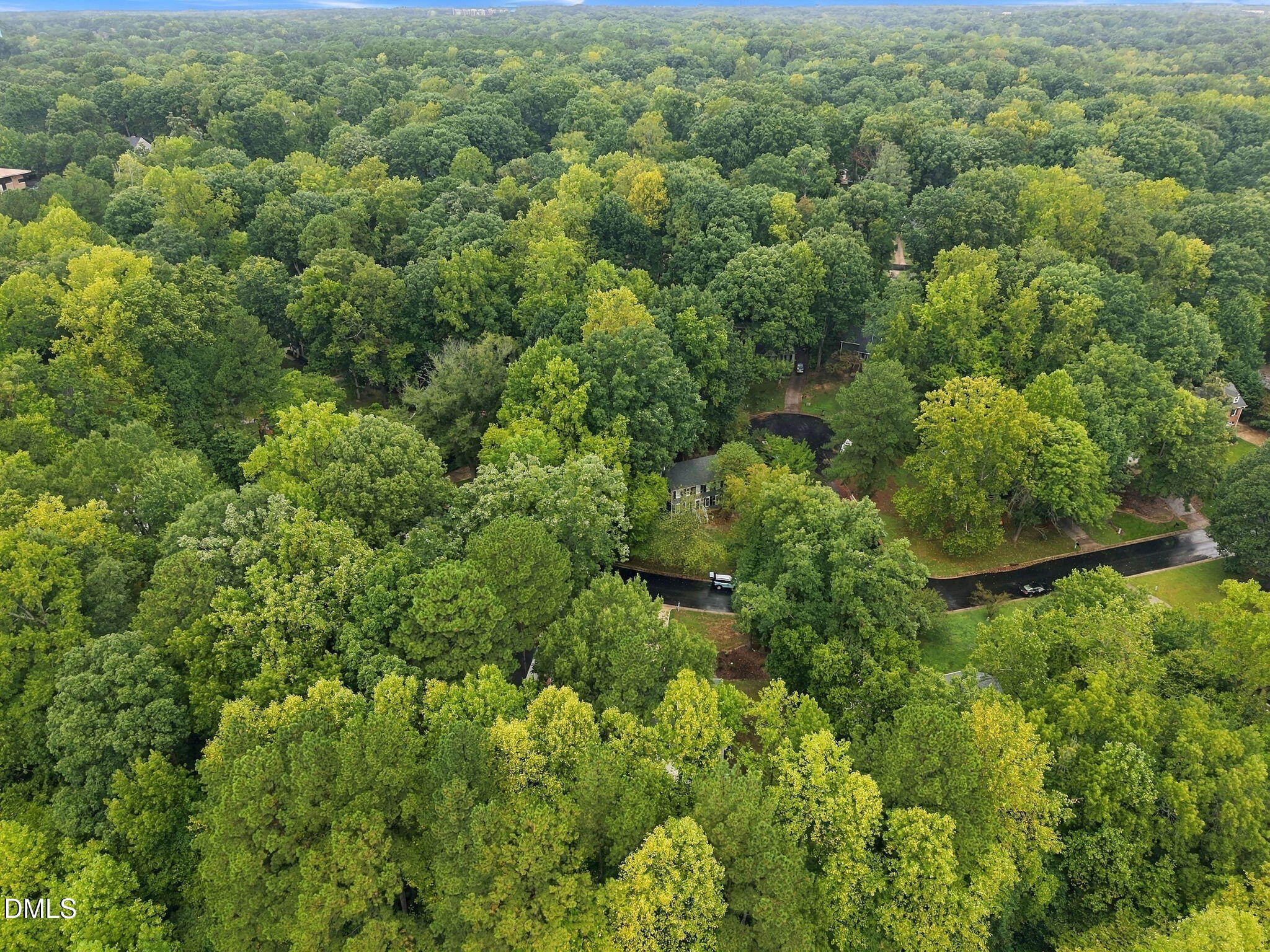 221 Heidinger Drive Property Photo 44