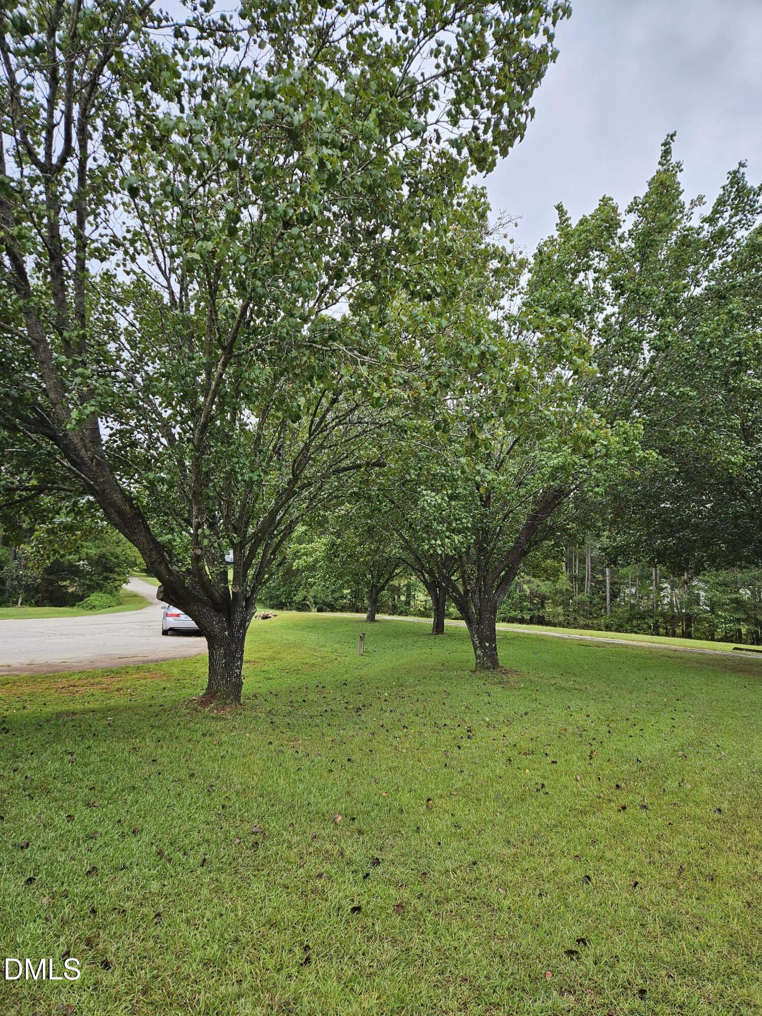 115 Eagle Lane Property Photo 4