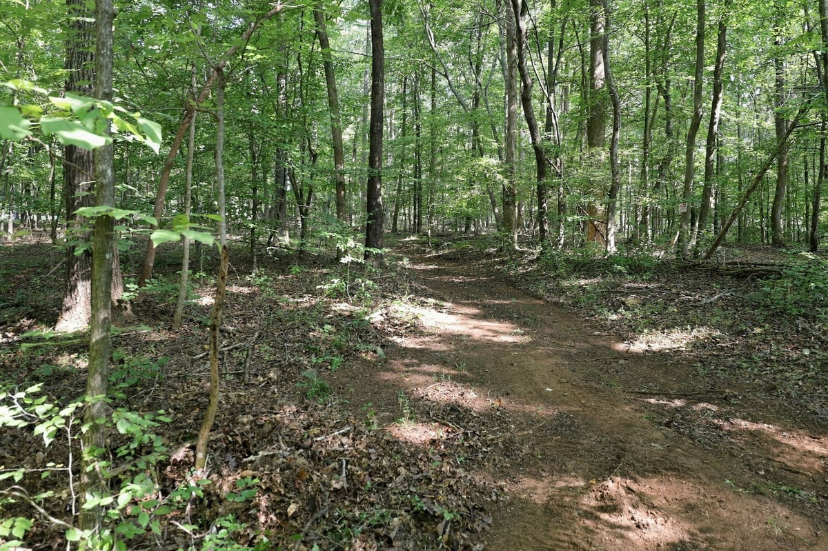4592 Boogaboo Trail Property Photo 37