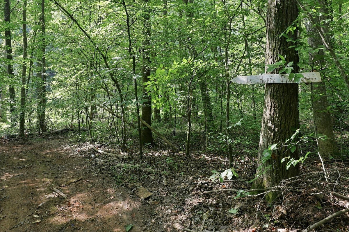 4592 Boogaboo Trail Property Photo 39