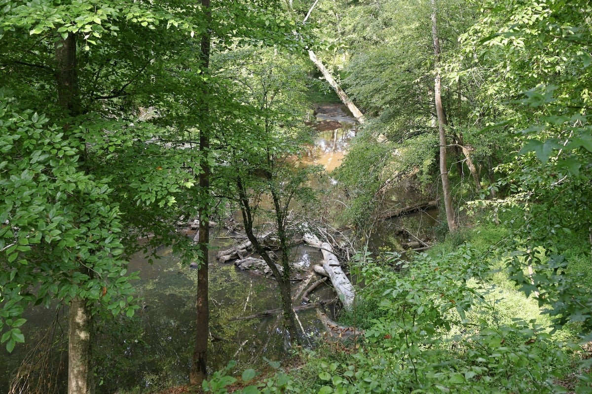 4592 Boogaboo Trail Property Photo 40