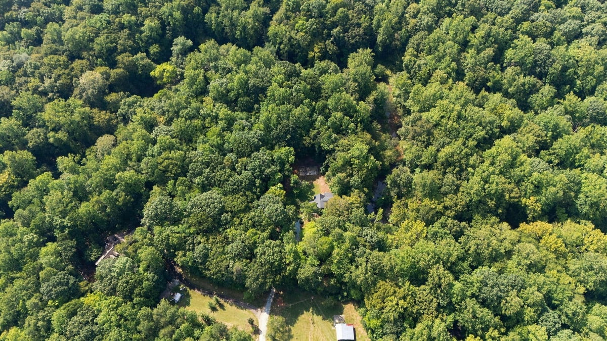 4592 Boogaboo Trail Property Photo 44