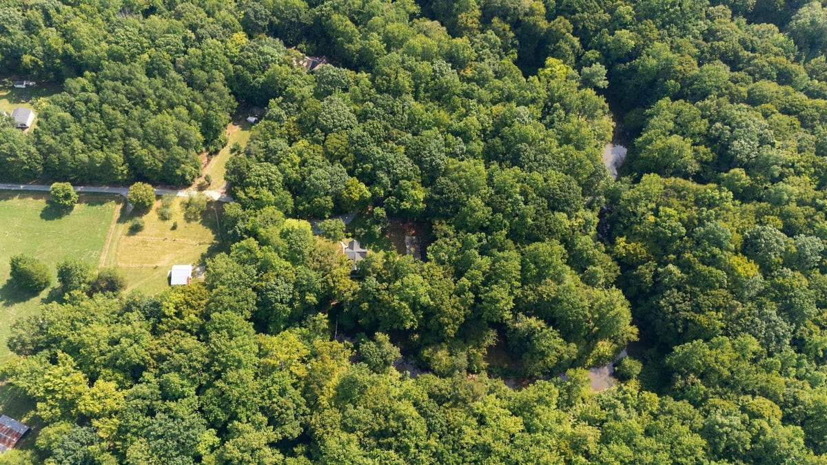 4592 Boogaboo Trail Property Photo 45