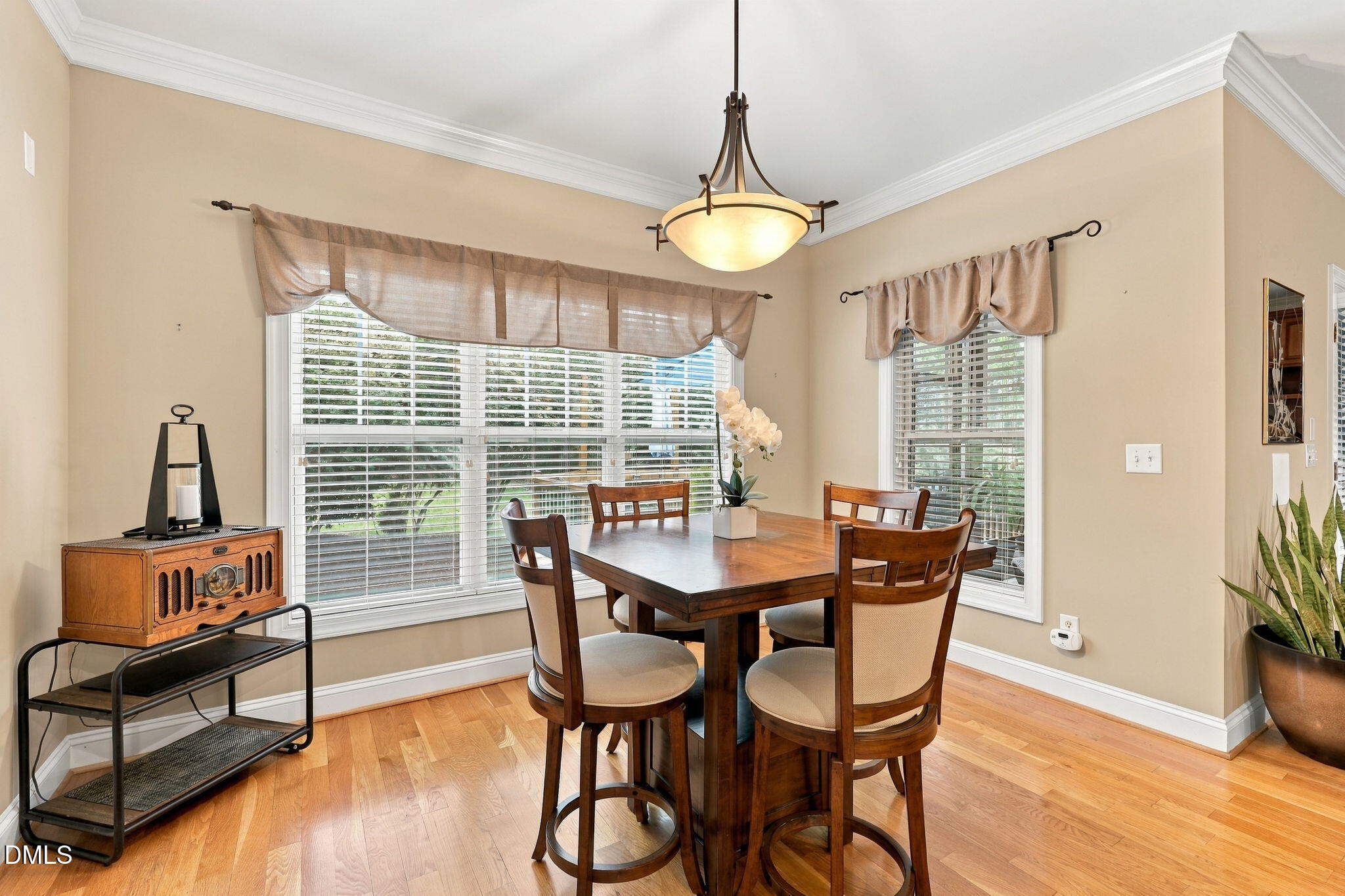 1209 Shining Water Lane Property Photo 17