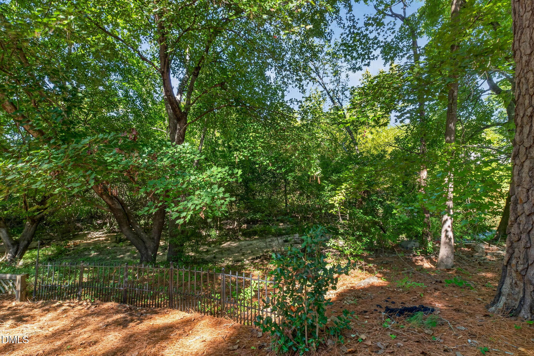 5405 Green Feather Lane Property Photo 51