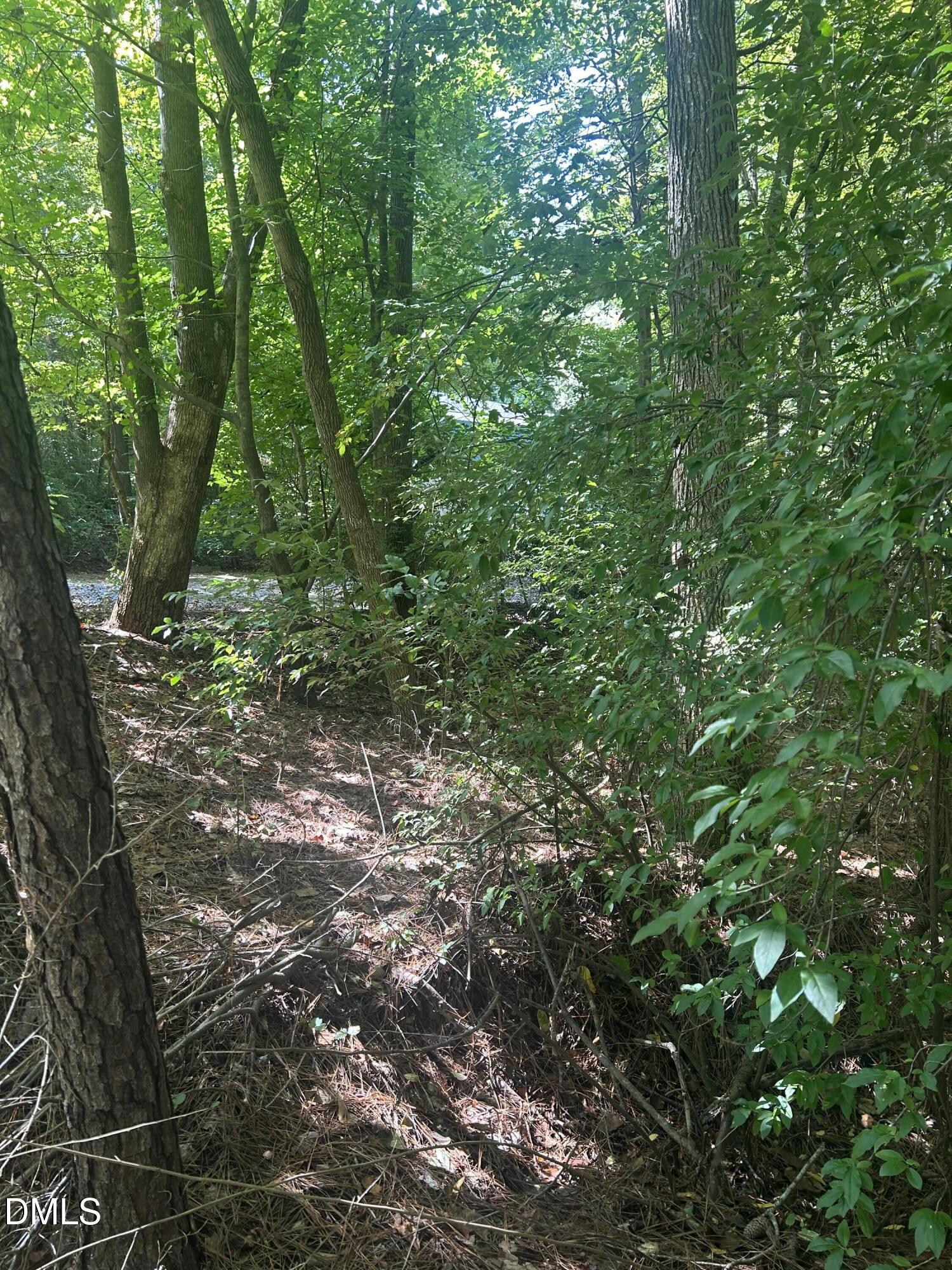 1317 Pine Trail