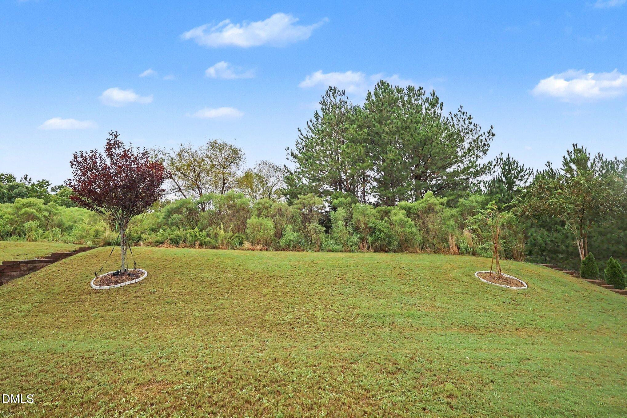 172 Stone Bridge Crossing Property Photo 44