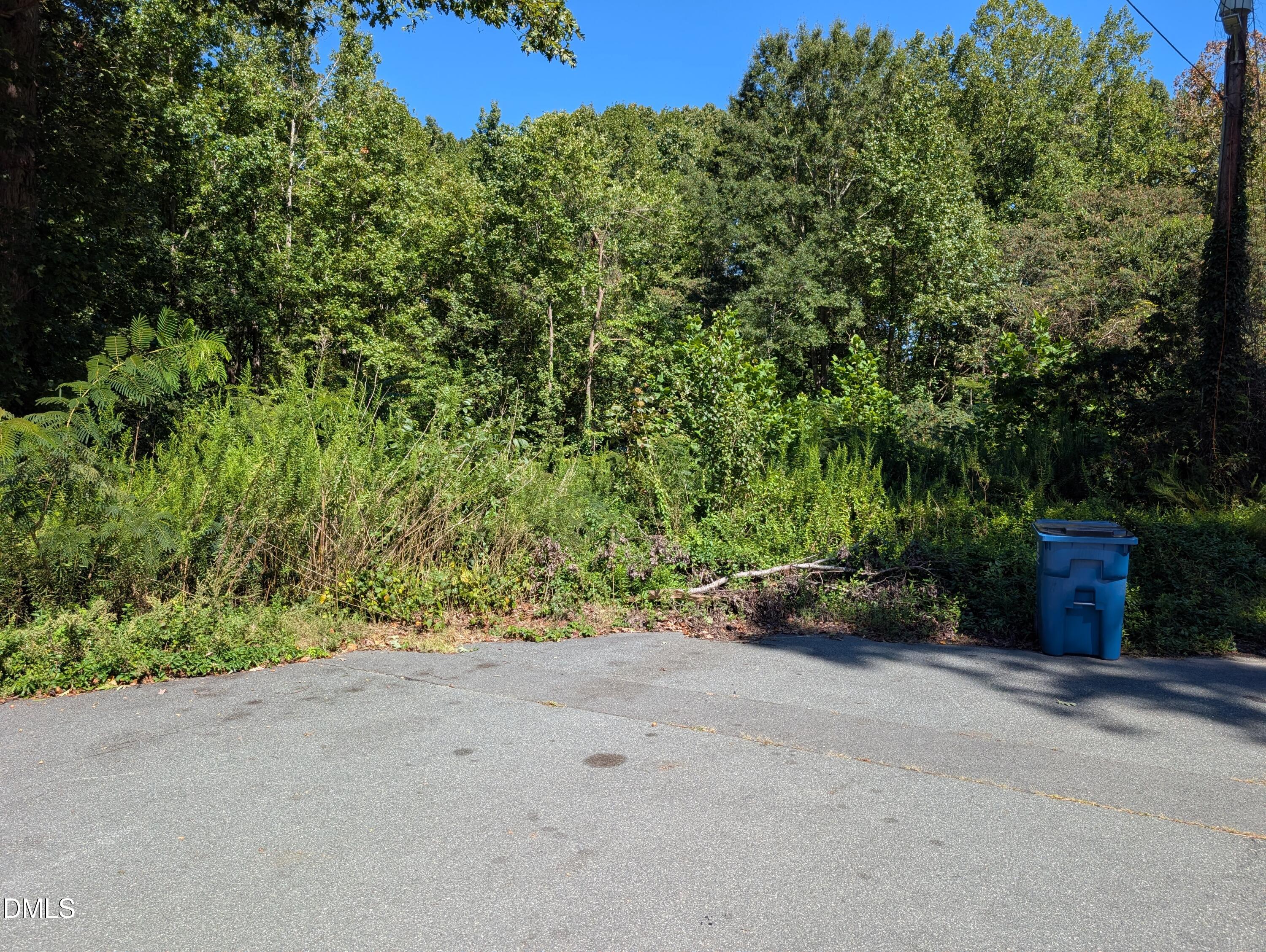 0 Little John Court Property Photo 2