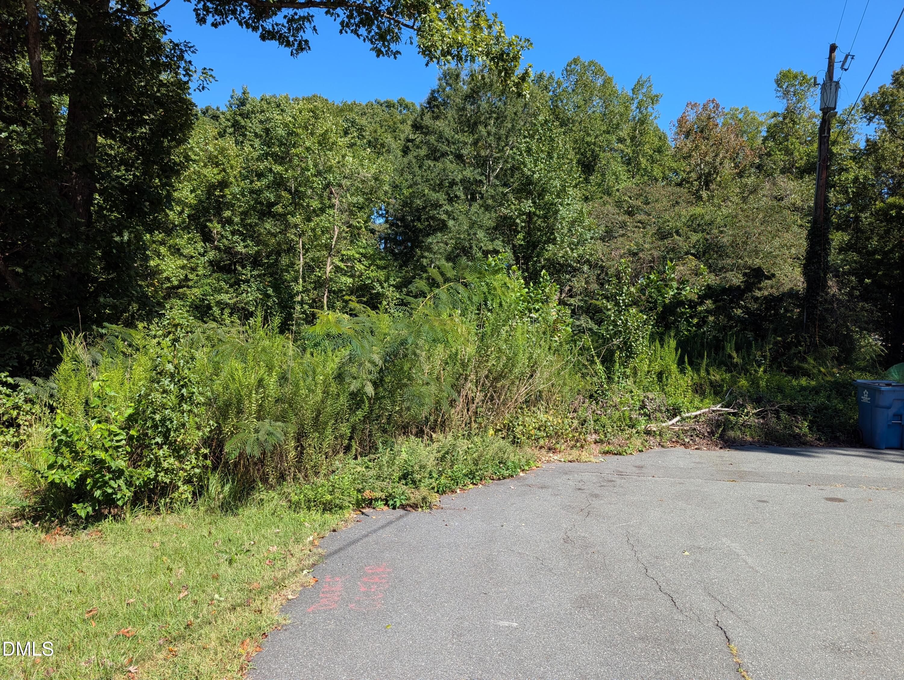 0 Little John Court Property Photo 4