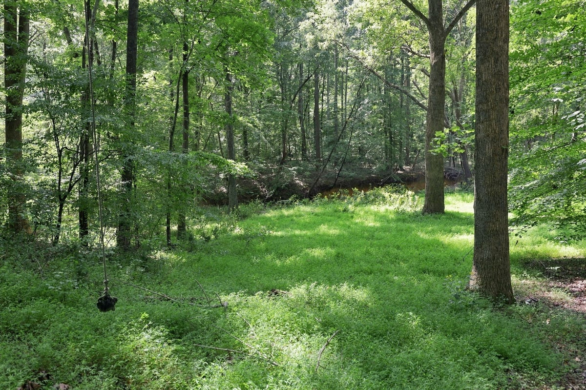 Lot 2 Boogaboo Trail Property Photo 20