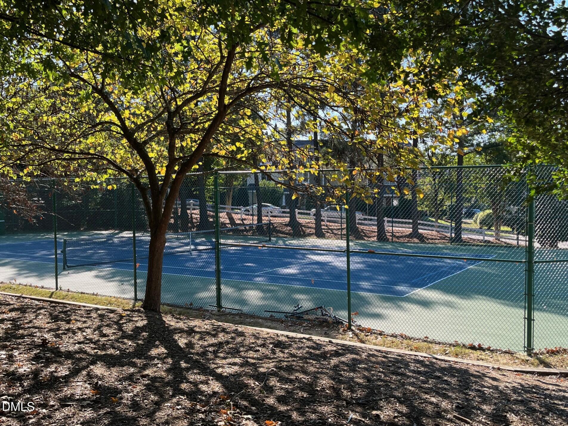 1008 Mica Lamp Court Property Photo 19