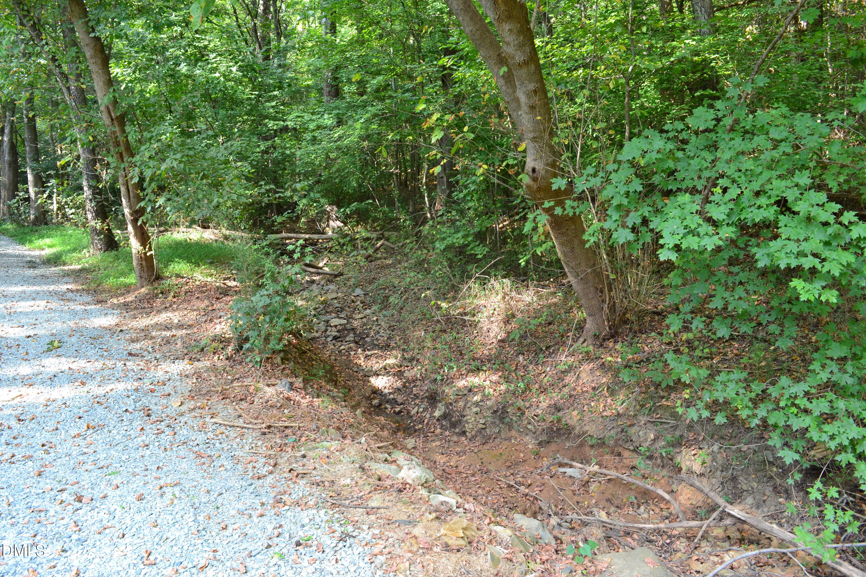 1278 Carolina Street Property Photo 3