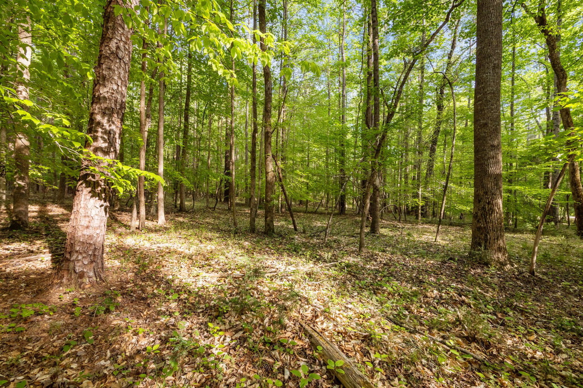 2a Union Grove Church Road Property Photo 4