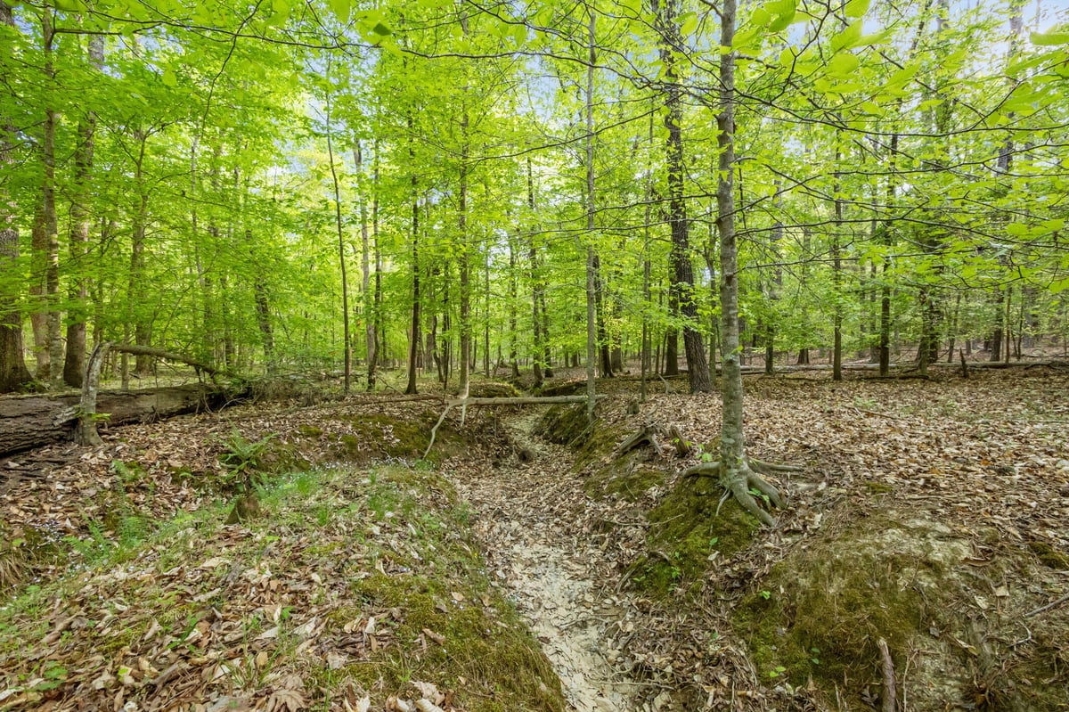 2a Union Grove Church Road Property Photo 6