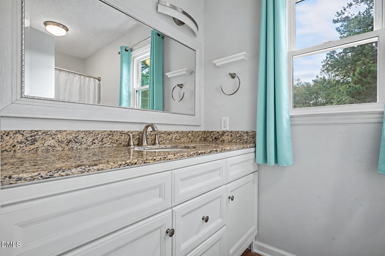 4121 Willow Haven Court Property Photo 6