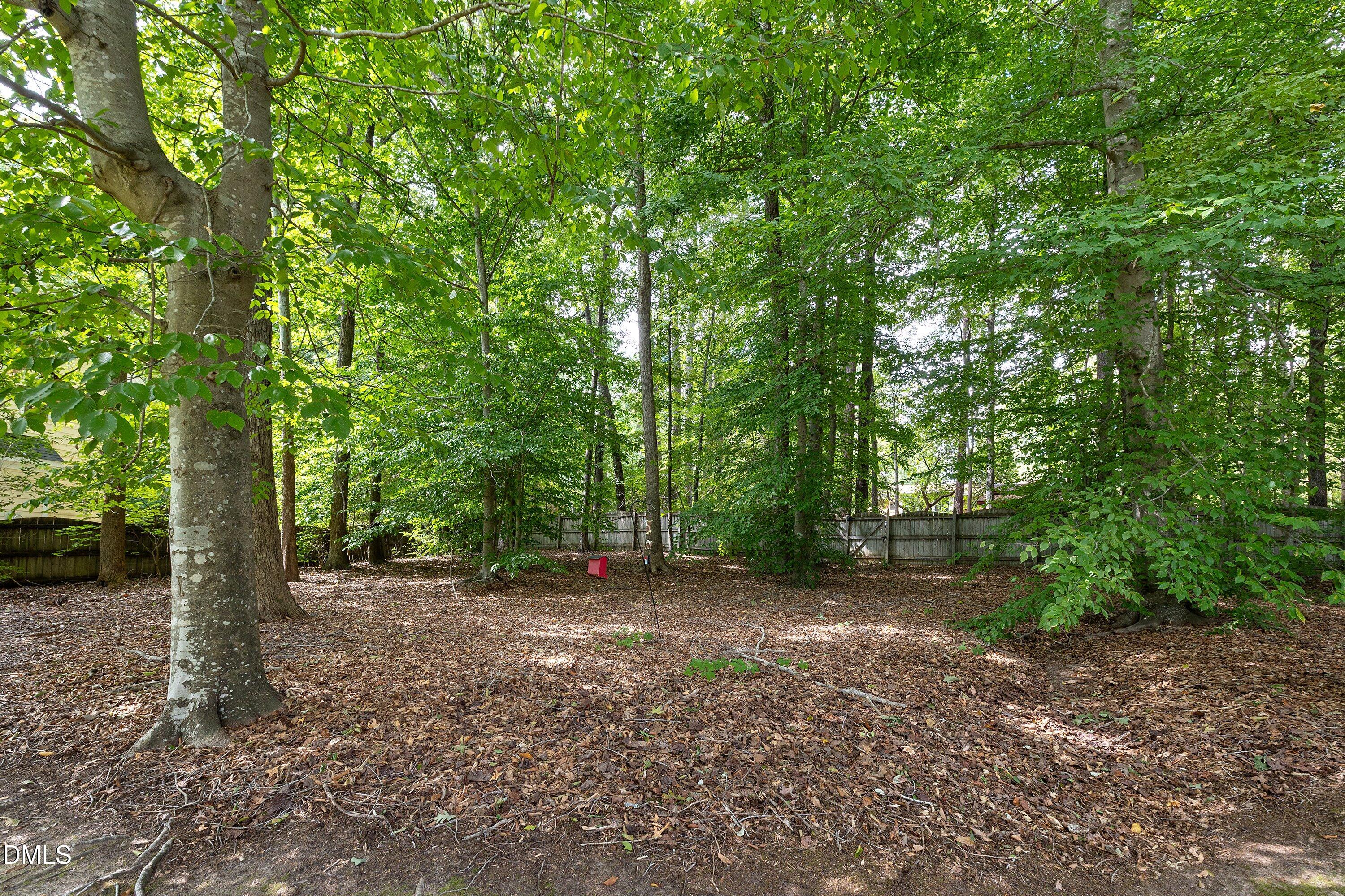 3914 Sterling Ridge Lane Property Photo 59