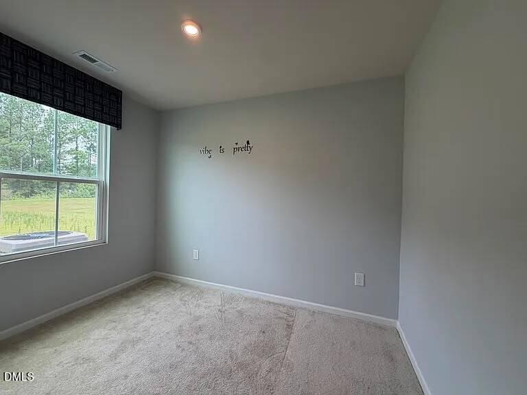 205 Tormore Drive Property Photo 12