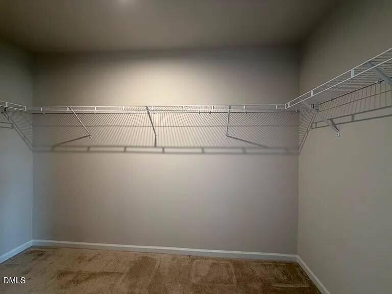205 Tormore Drive Property Photo 20