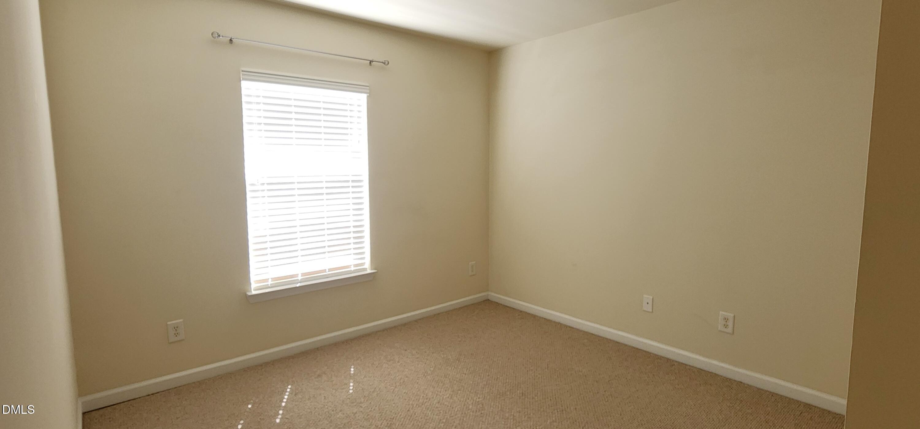 248 Linden Park Lane Property Photo 18