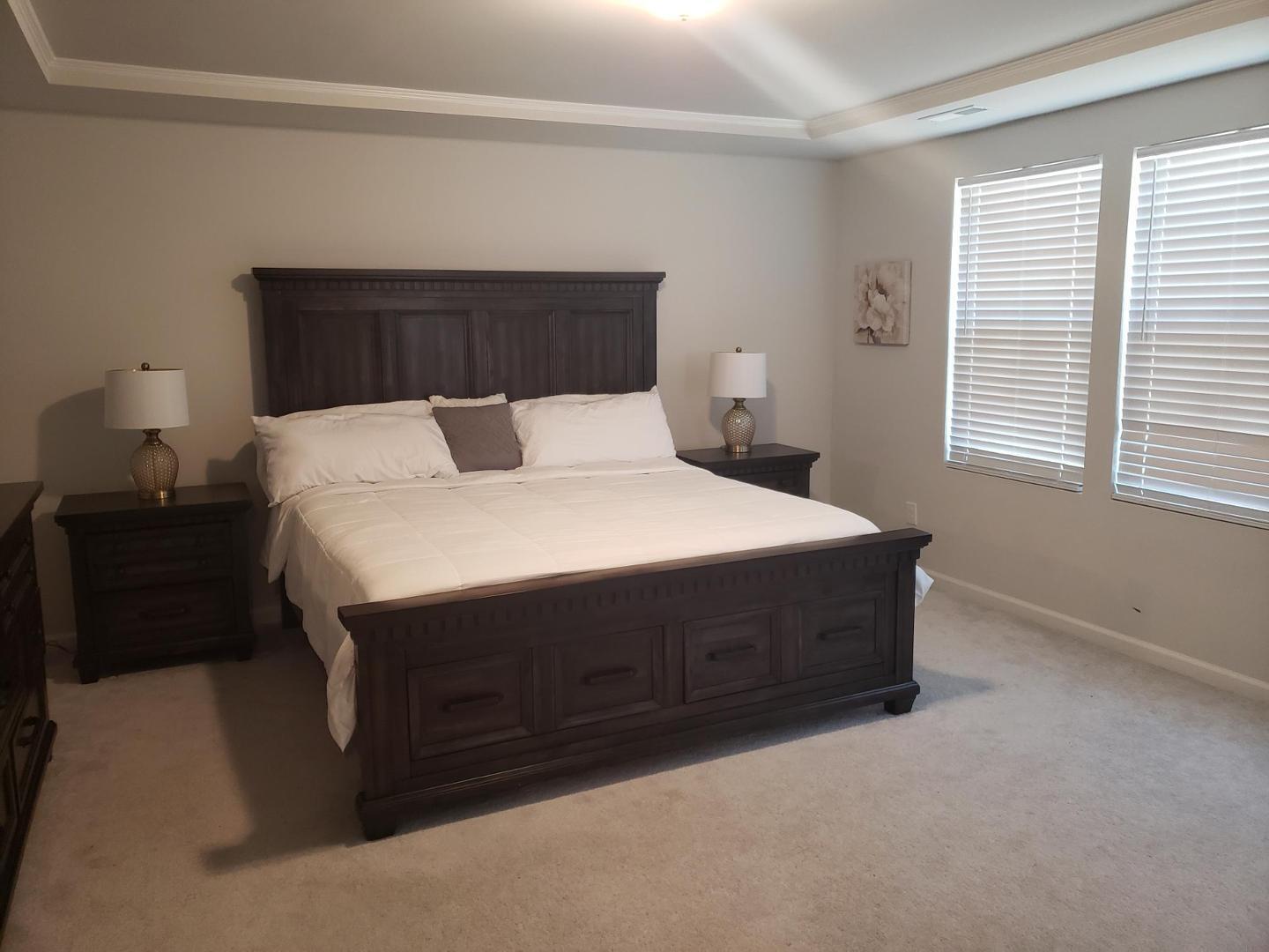 4017 Whitney Peak Drive Property Photo 9