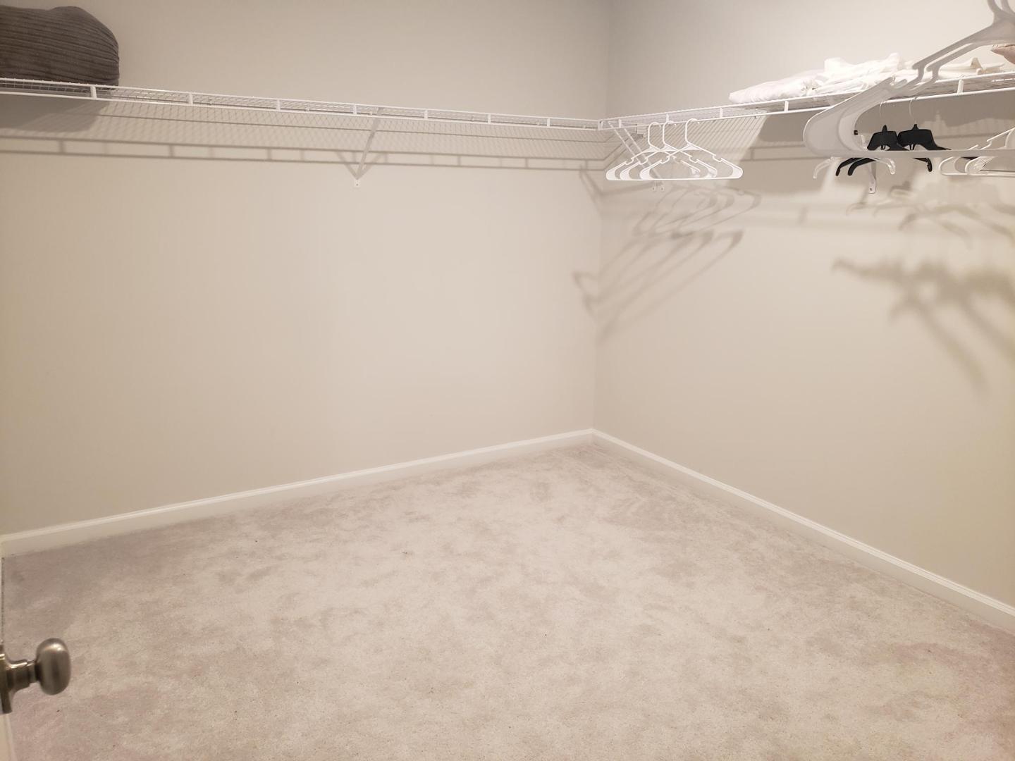 4017 Whitney Peak Drive Property Photo 10