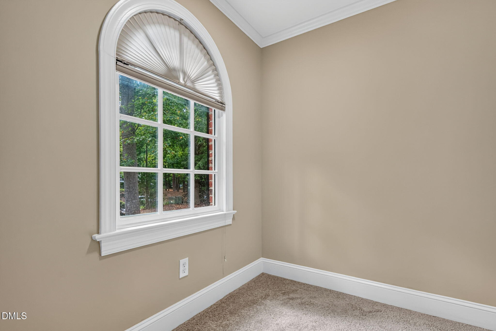 109 Morninghills Court Property Photo 38