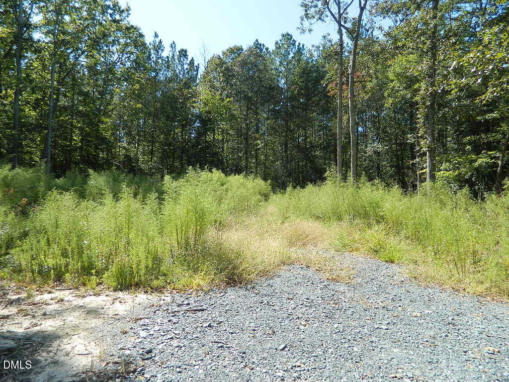 3036 Bennett Siler City Road Property Photo 1