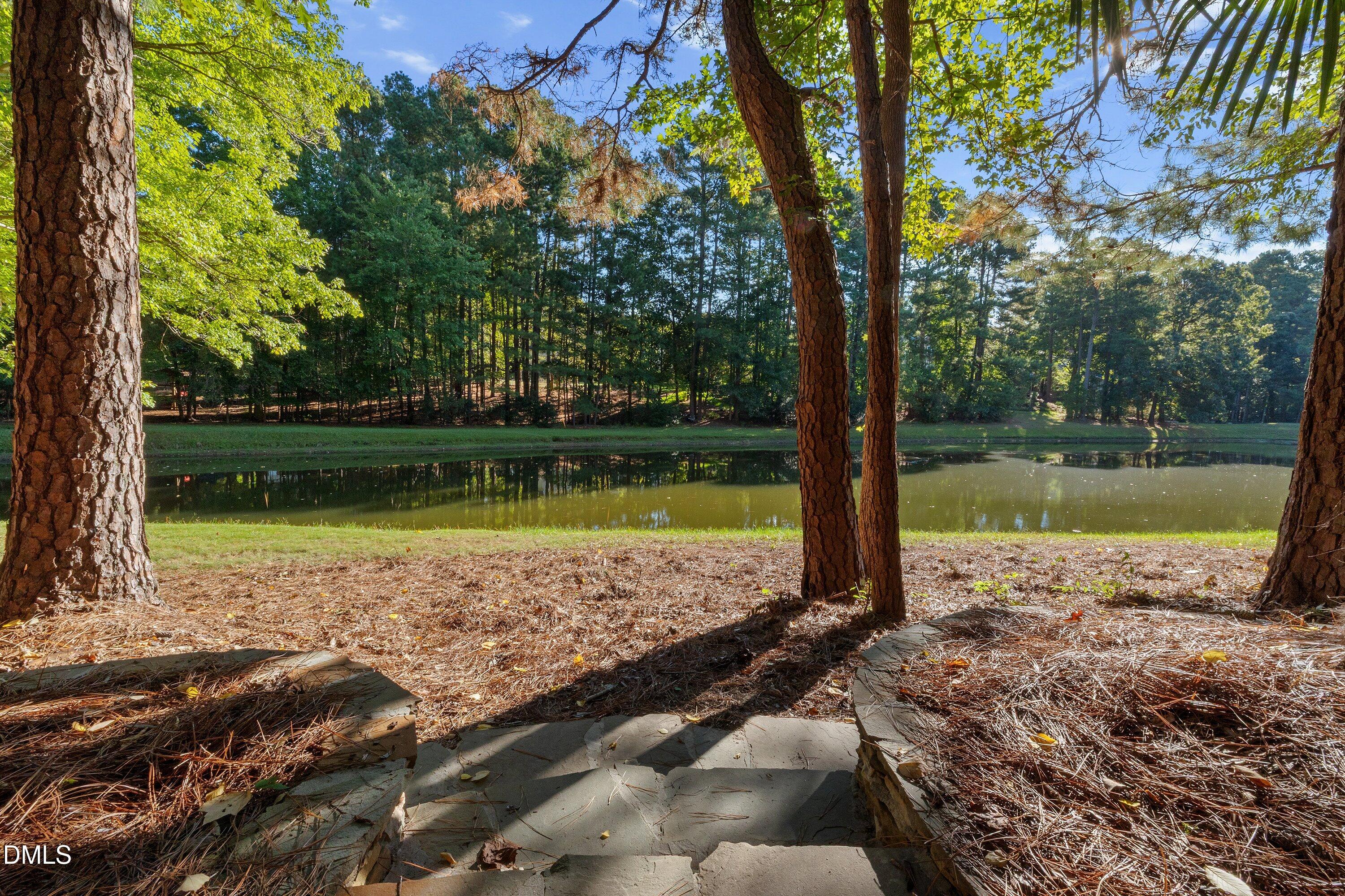 4604 White Chapel Way Property Photo 33