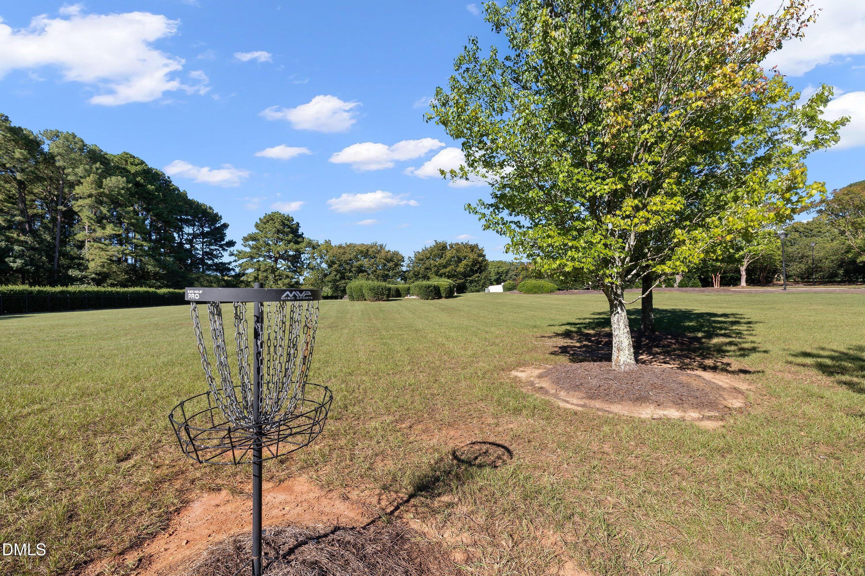 4604 White Chapel Way Property Photo 55