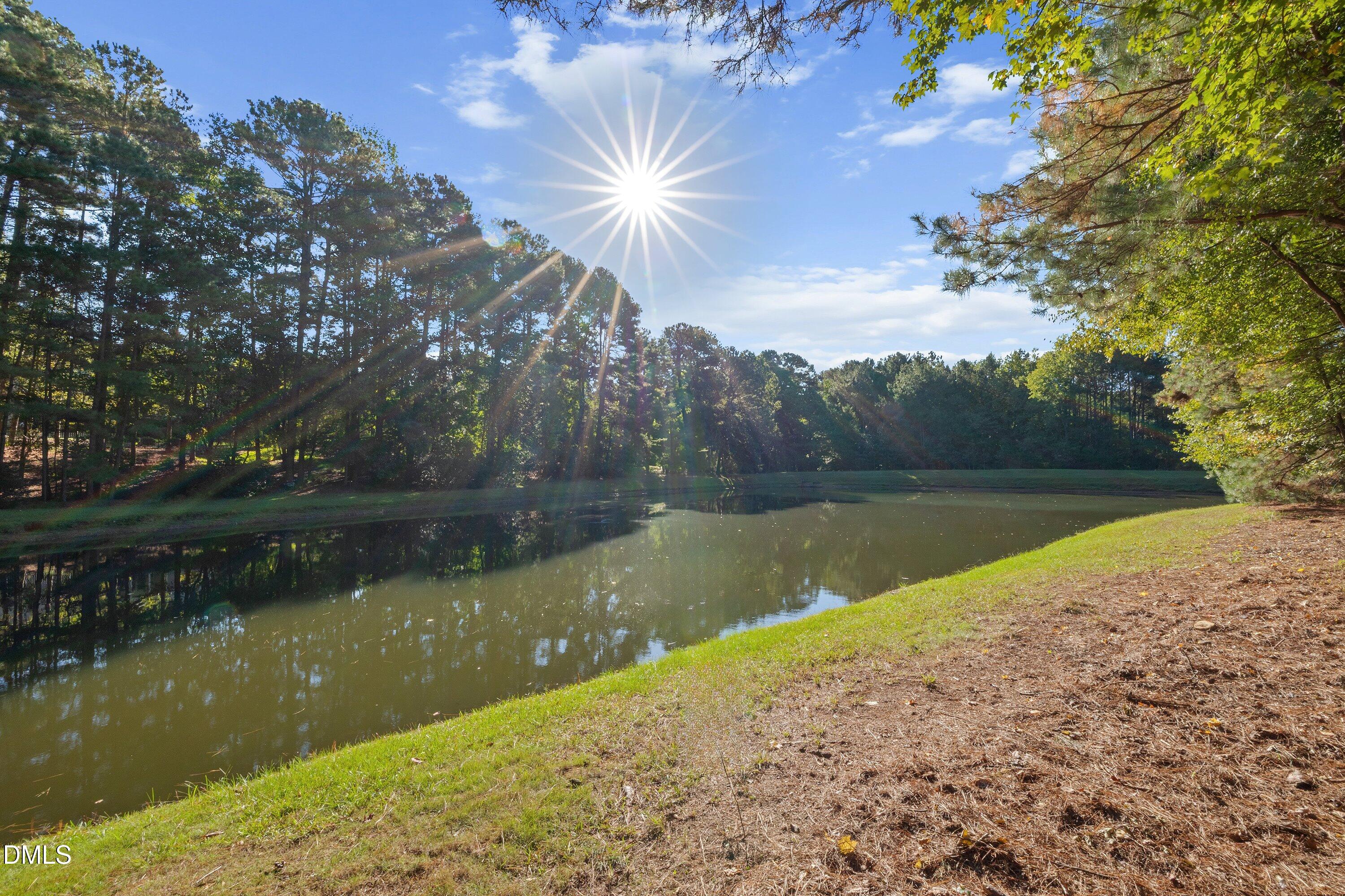 4604 White Chapel Way Property Photo 66
