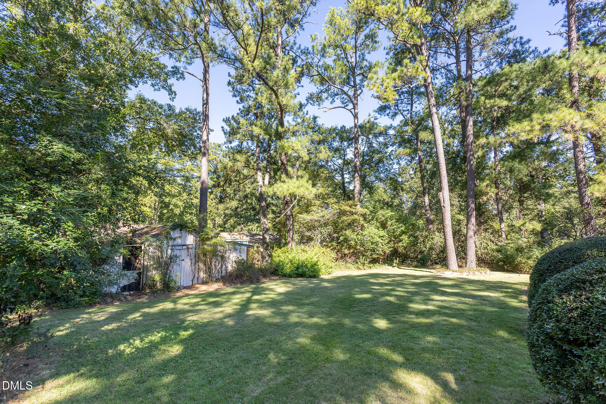 4405 David Street Property Photo 59