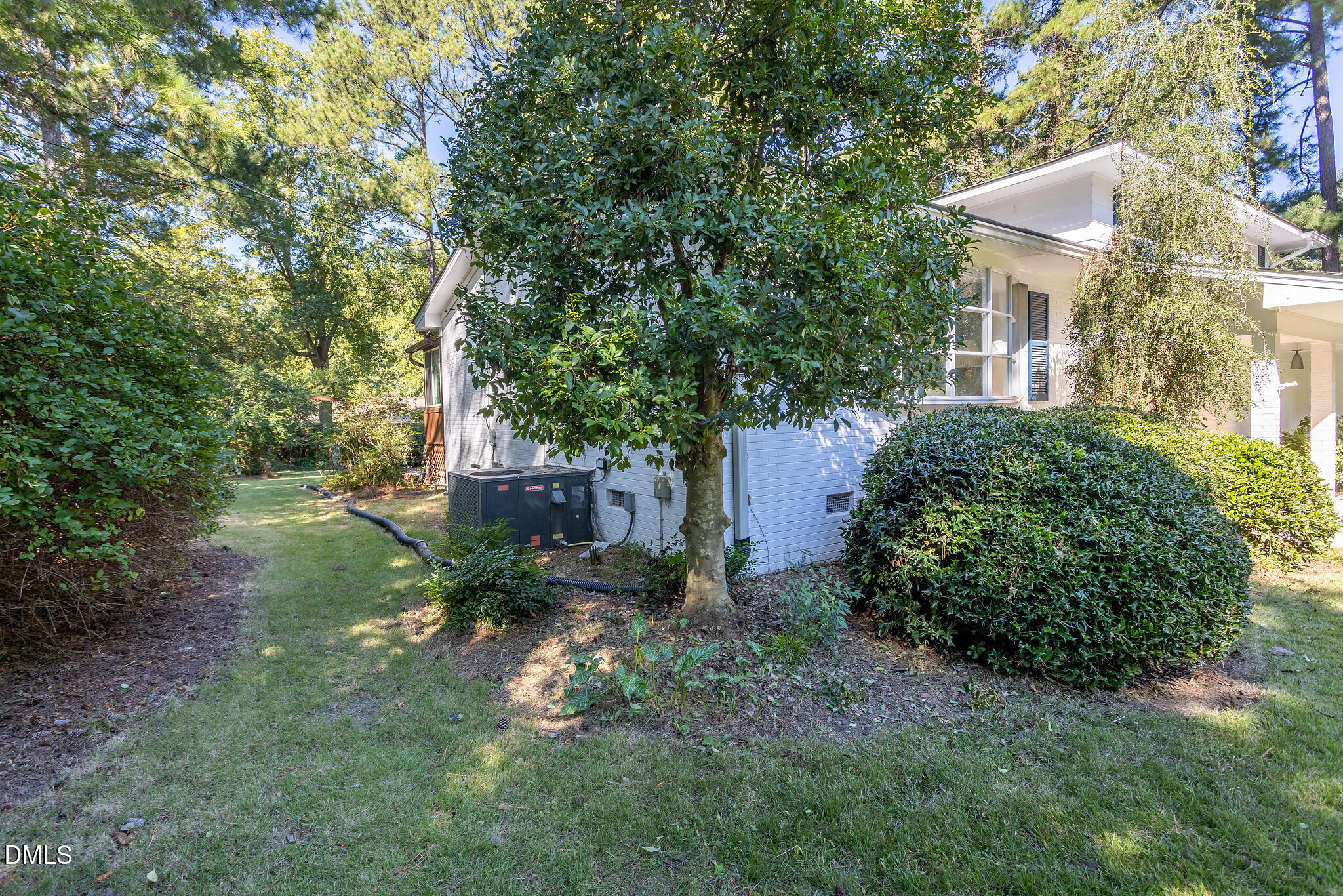 4405 David Street Property Photo 65