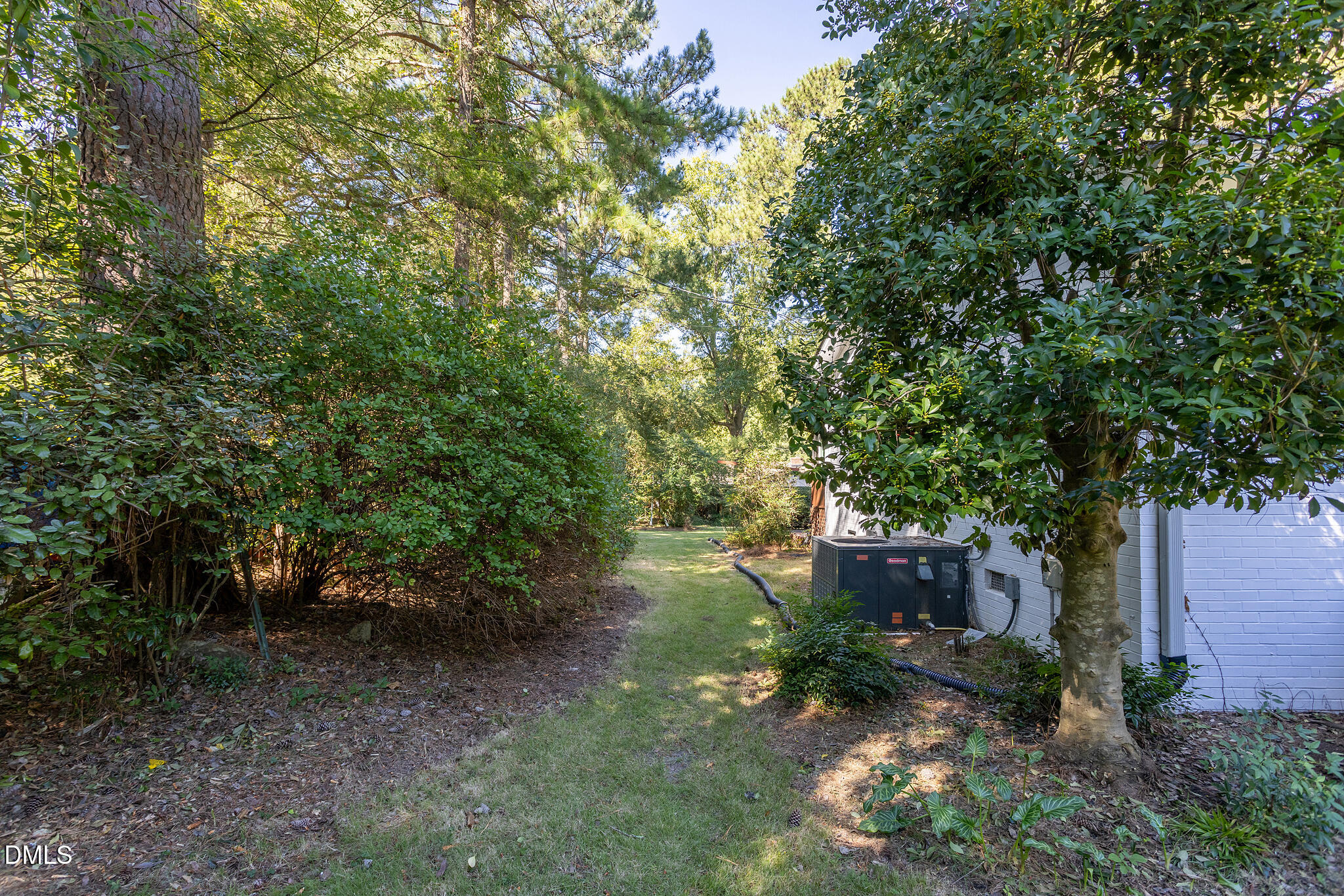 4405 David Street Property Photo 66