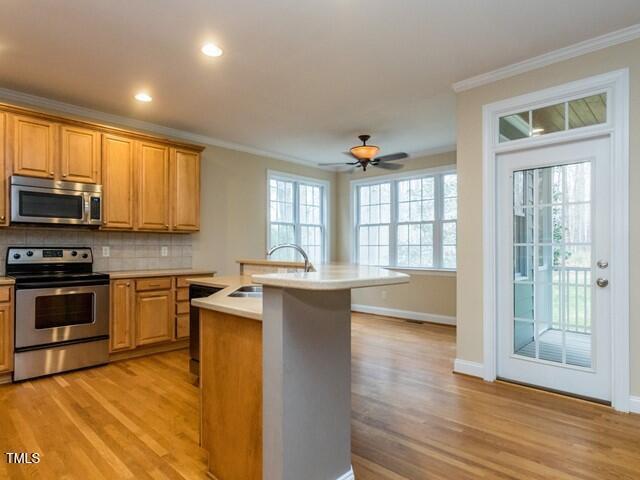 1200 Neuse Ridge Drive Property Photo 8