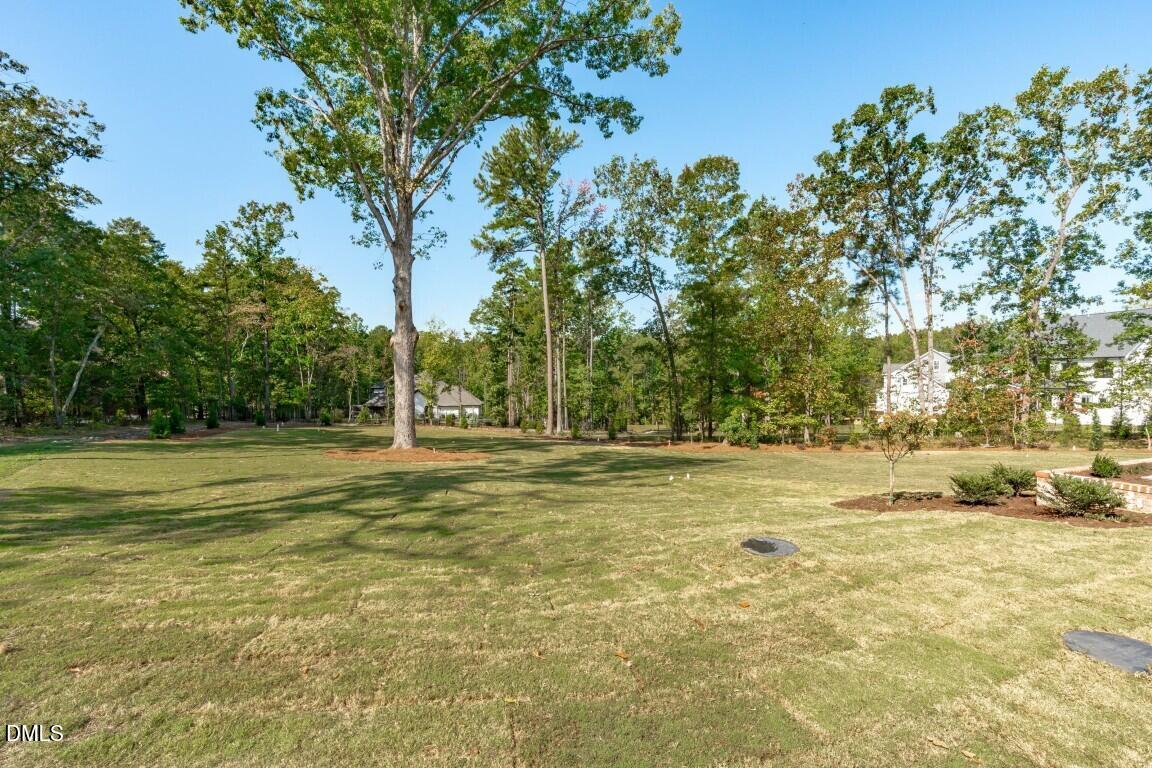 2912 Frances Marie Lane Property Photo 56