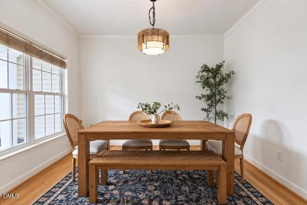 7244 Aquinas Avenue Property Photo 17