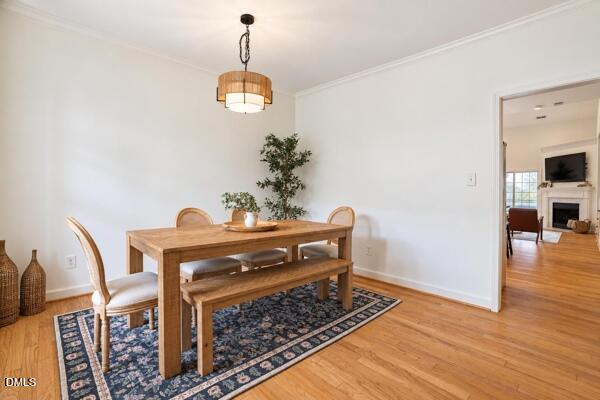 7244 Aquinas Avenue Property Photo 19
