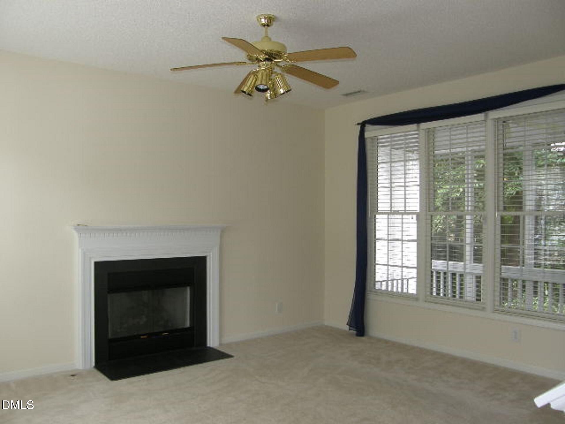 207 Cove Creek Drive Property Photo 5