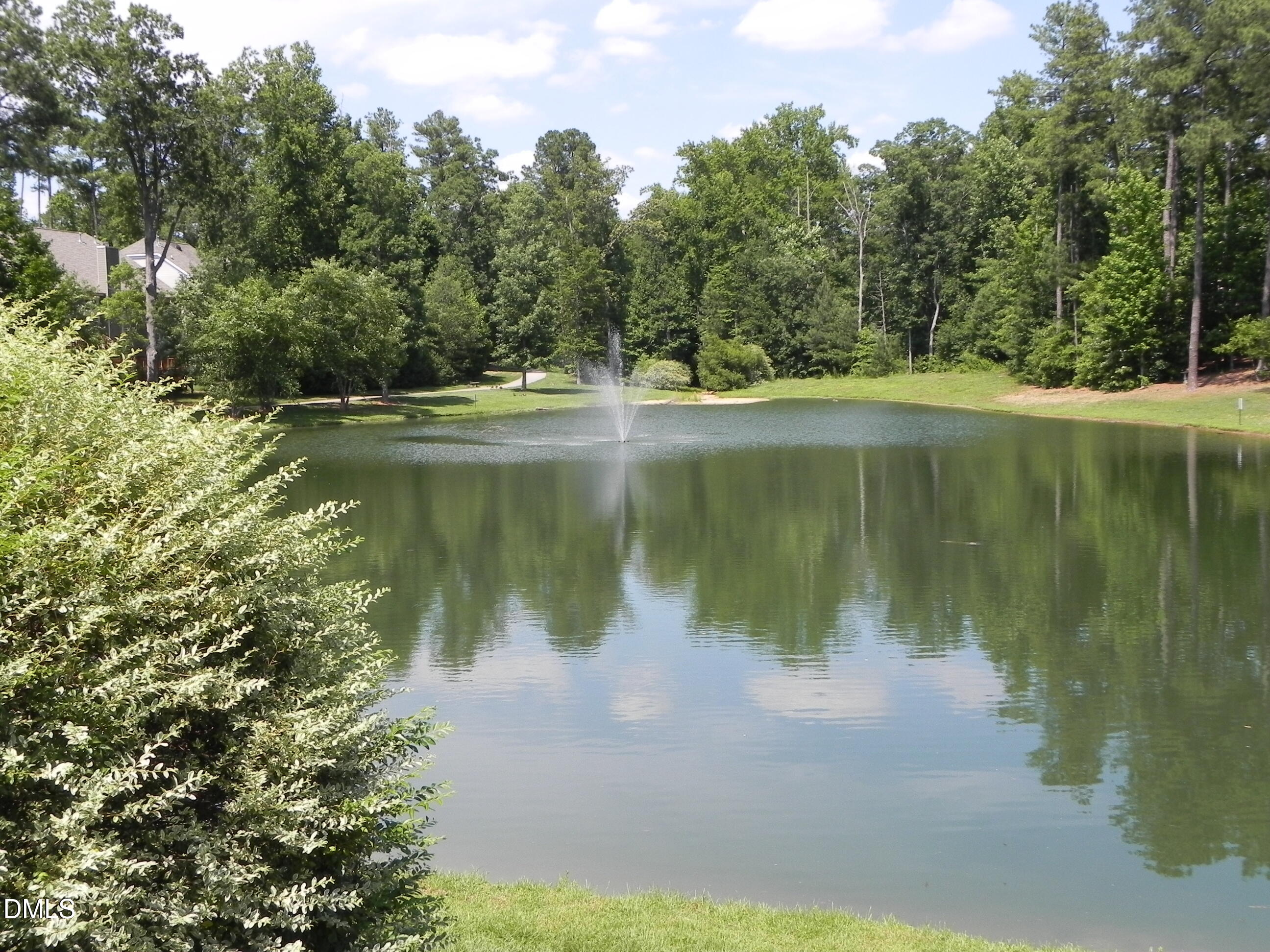 207 Cove Creek Drive Property Photo 19