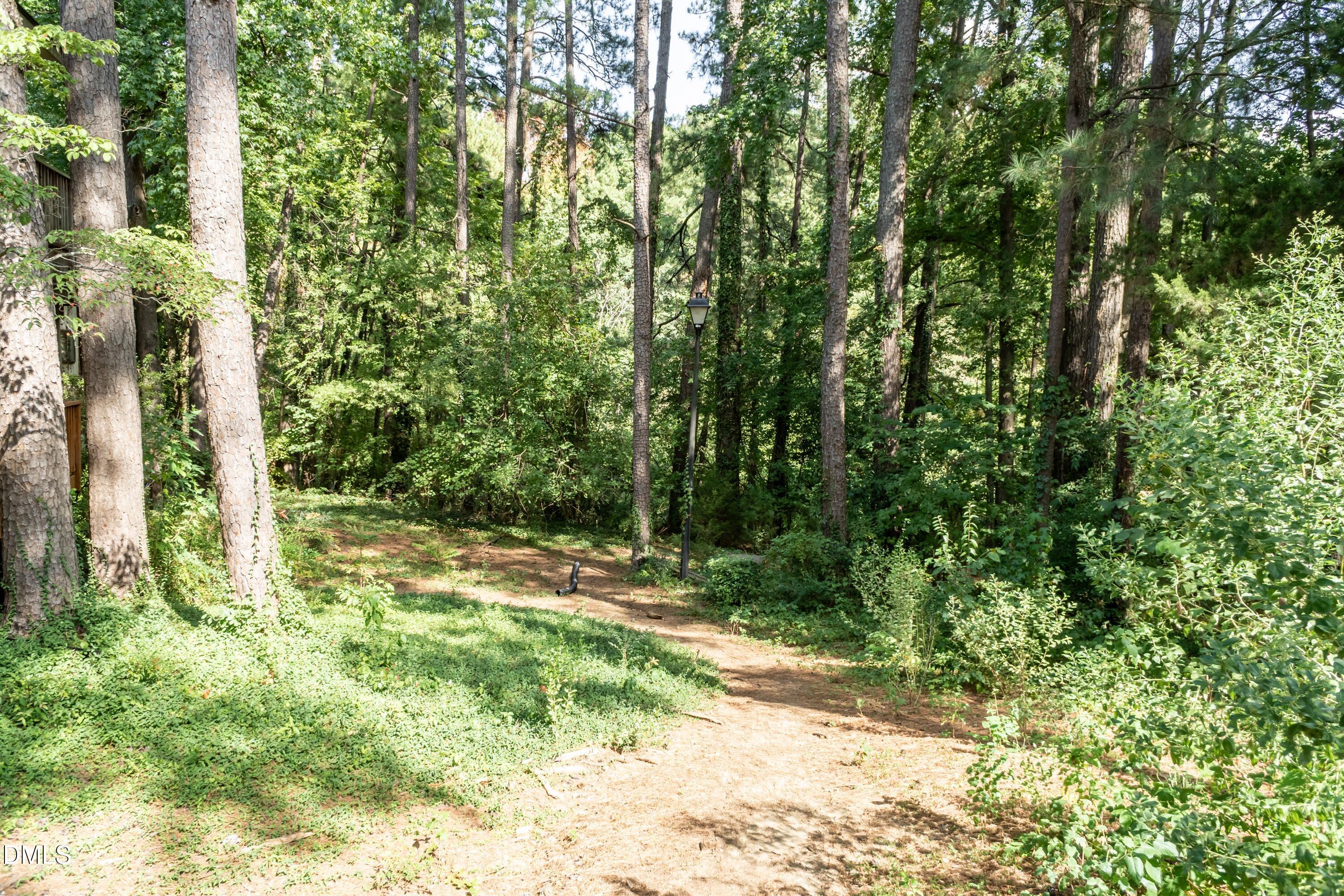 647 Pine Ridge Place Property Photo 31