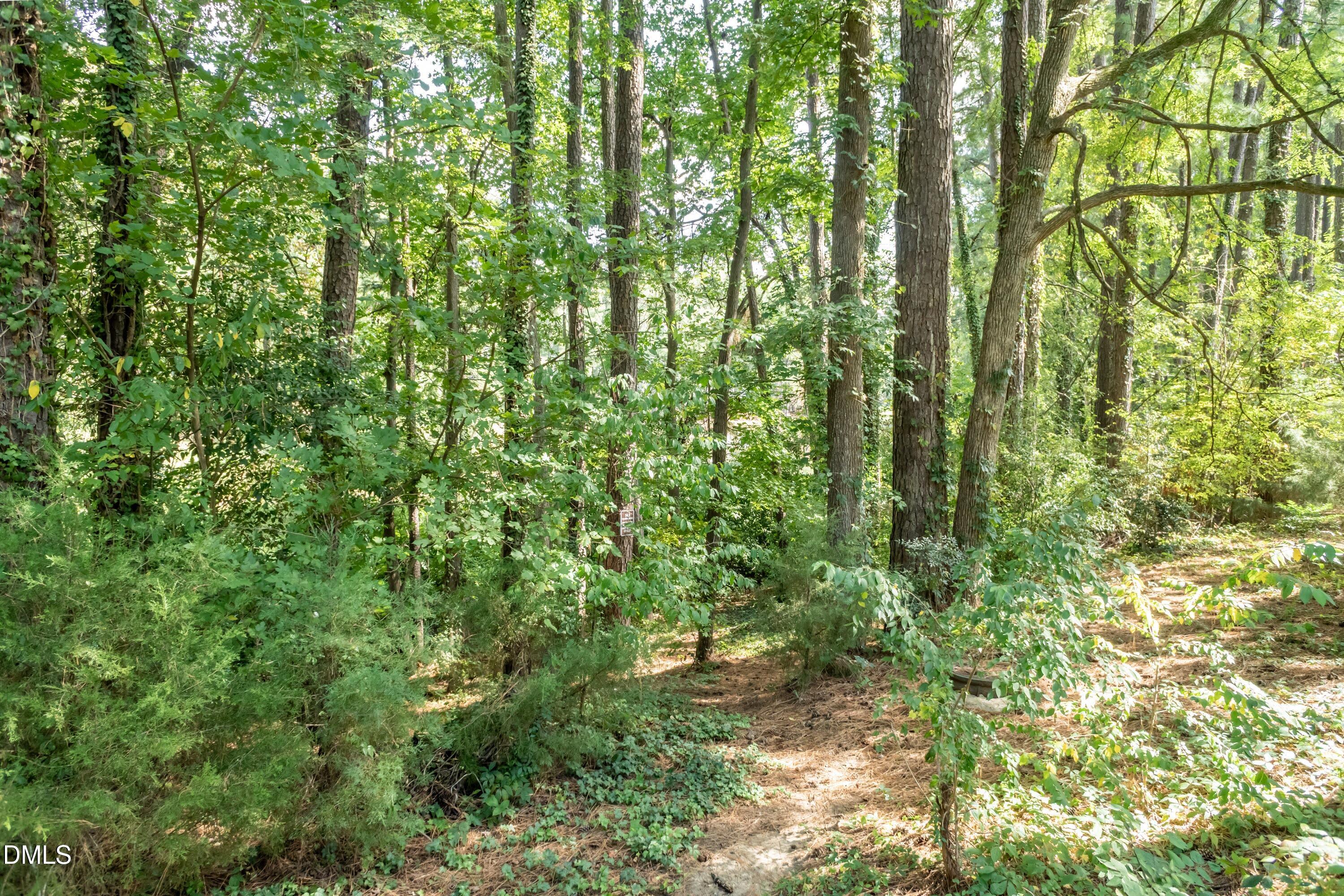 647 Pine Ridge Place Property Photo 32