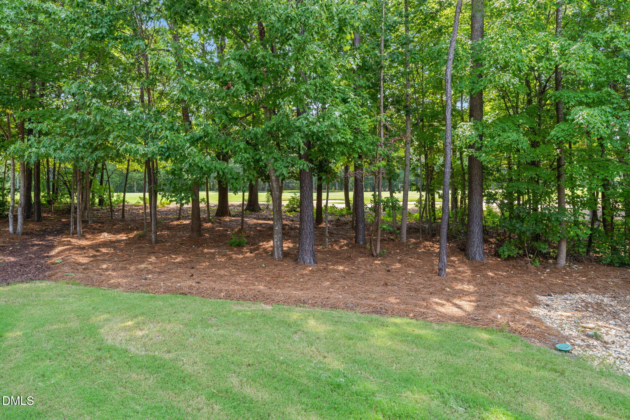 613 Morning Oaks Drive Property Photo 80