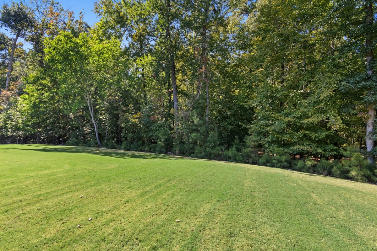 11409 Royal Amber Way Property Photo 63