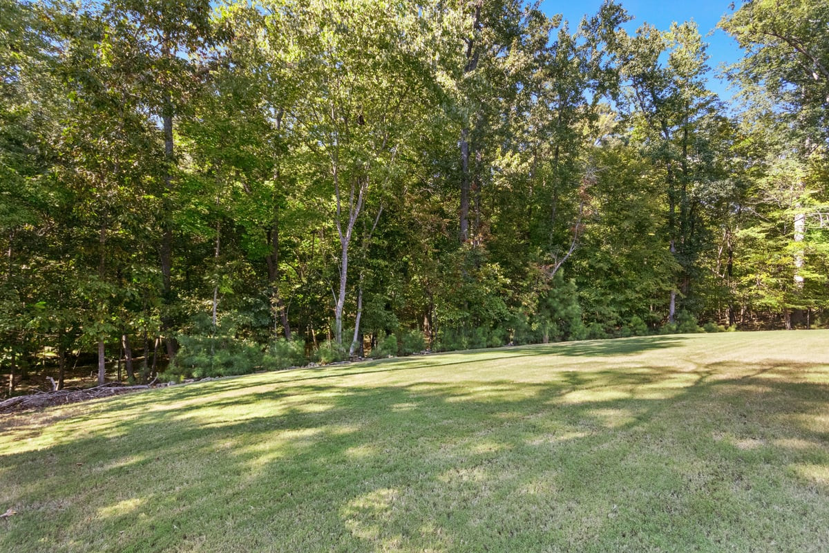11409 Royal Amber Way Property Photo 64