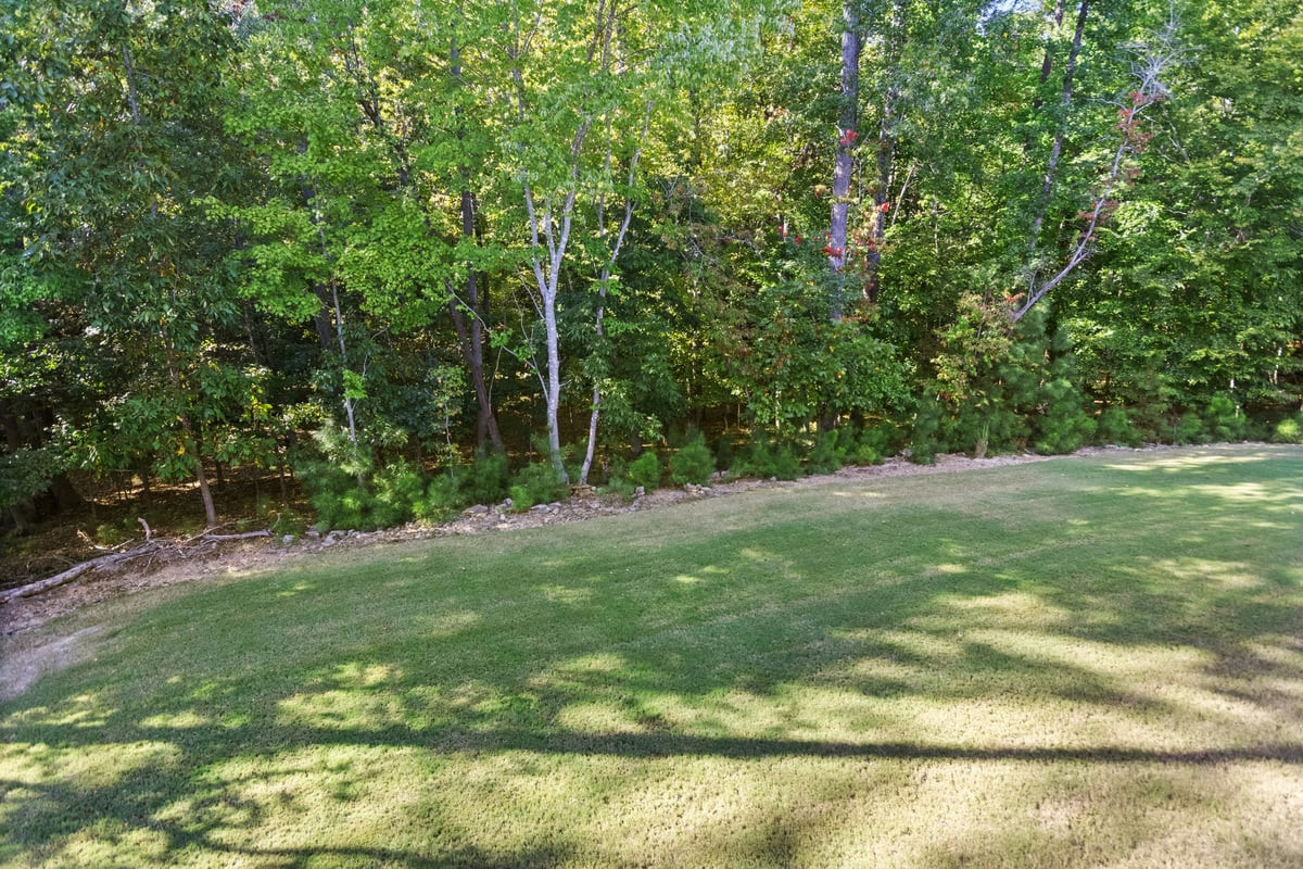 11409 Royal Amber Way Property Photo 65